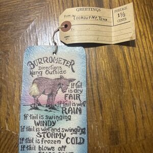 VINTAGE "Burrometer" Novelty Weather Instrument Souvenir Donkey